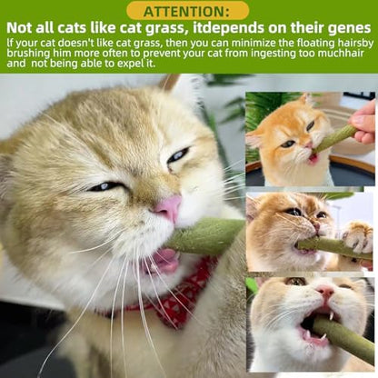 Cat Natural Grass Teething Sticks, Kitten Chew Stick for Hairball Removal - Image 7