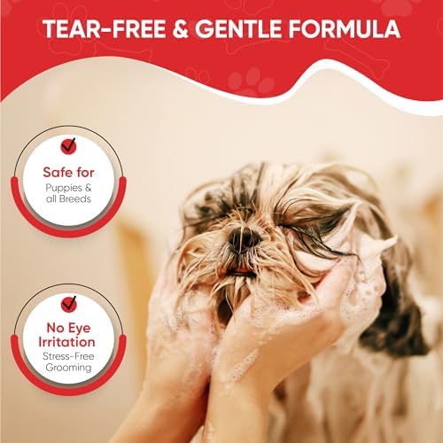 Warren London Foaming Pet Facial | Tear Free Dog Face Wash | Tearless Dog Shampoo for Faces & Dog Eye Stain Remover | Refreshing Cucumber Melon Wash | Made in USA | 8oz - Image 2