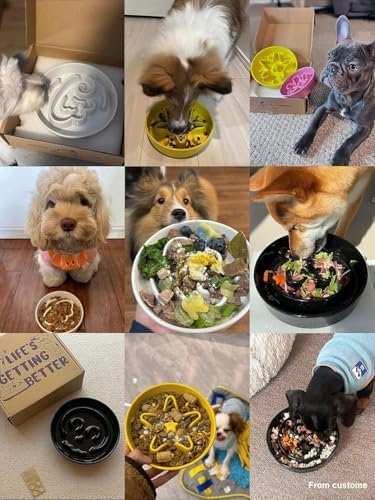 LE TAUCI Ceramic Slow Feeder Dog Bowls Elevated, 0.6 Cups Raised Dog Bowl with Wooden Stand for Small Breed, Pet Dishes to Slow Down Eating, Skull Black - Image 5