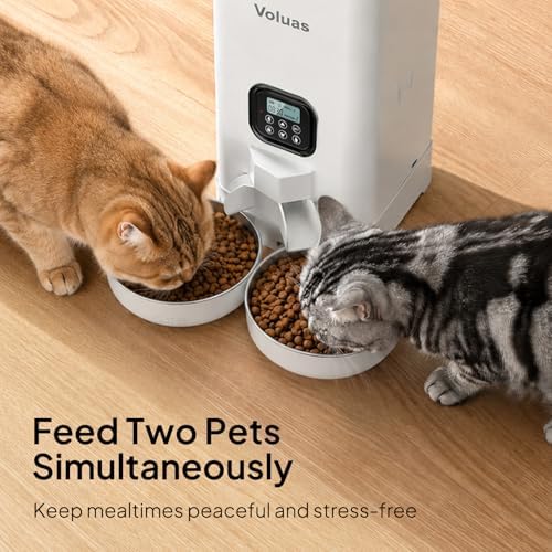 VOLUAS Automatic Cat Feeder for Two Cats with Dual Stainless Bowls, 6L - Image 3