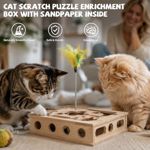 Cat Nail File Enrichment Box Scratch Puzzle Toy with Slot Lock Screws - Image 6
