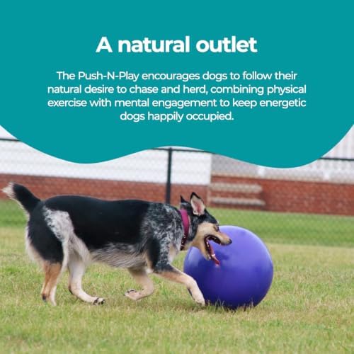 Jolly Pets Push-n-Play Ball Dog Toy, 6 Inches/Medium, Blue (306) - Image 6