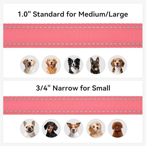 Joytale Reflective Dog Leash for Small Dogs, 6 FT x 3/4", Neon Pink - Image 6