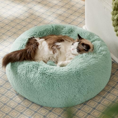Bedsure Calming Cat Beds Donut Round Washable Kitten Bed,20 inches - Image 4