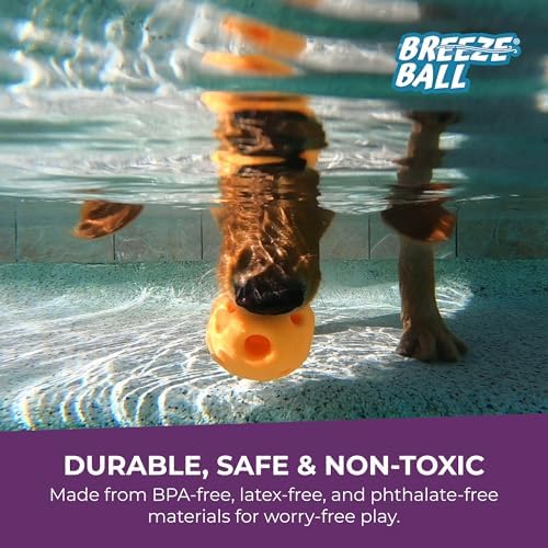 Multipet Breeze Balls for Dog - Bevel Tech Interactive Dog Toy w/Holes for Breathing - Flotable Ball for Dogs - Pet Toy for Chewing & Playing (1 Count, 3”, Random Color Surprise) - Image 4