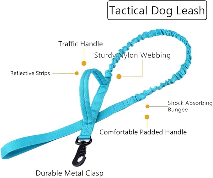 Xqpetlihai Tactical Dog Collar and Leash Set Adjustable Military Nylon Dog Collar with Control Handle and Heavy Duty Metal Buckle for Large Dogs（Blue S