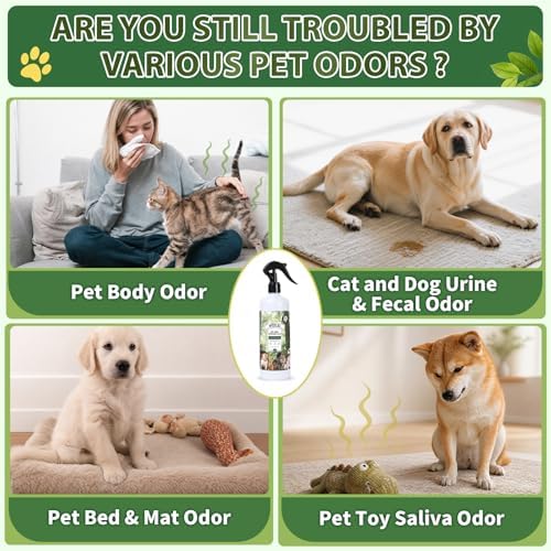 Pet Odor Deodorizer Spray,16.9 & 3.4 Fl Oz - Dog Deodorizing Spray Natural Forest Scent Pet Odor Neutralizer for Home Pets Potty Furniture(16.9 Fl Oz + 3.4 Fl Oz) - Image 3
