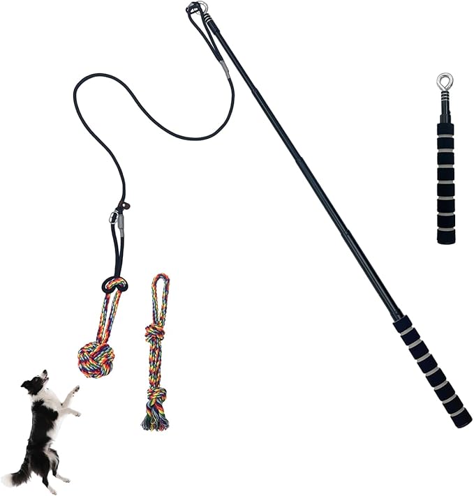 Retractable Flirt Pole for Dogs with Tug Toy Ropes, Lightweight Interactive Pet Training Pole for Small to Medium Dogs (Black)