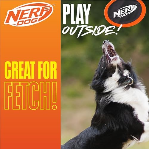 Nerf Dog Zone Flyer Dog Toy, Flying Disc, Lightweight, Durable and Water Resistant, Great for Beach and Pool, 10.5 inch Diameter, for Medium/Large Breeds, Single Unit, Orange/Black - Image 3