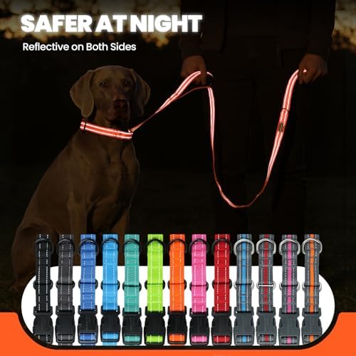 VIVAGLORY Double Handle Dog Leash Twingrip, 5ft x 1in, L, Orange - Image 5