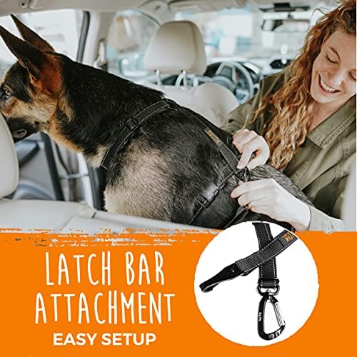 Mighty Paw Dog Seat Belt For Car - LATCH Compatible Adjustable Dog Seatbelt Harness for Small, Medium and Large Pets. Distraction Free Driving, Heavy-Duty Design with Aviation Grade Aluminum Carabiner - Image 5