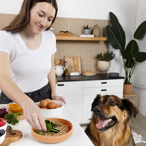 Slow Feeder Dog Bowl - Silicone Dog Bowl, Medium, 7.5" x 1.5" - Terracotta - Image 6