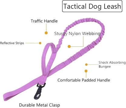 Xqpetlihai Tactical Dog Collar and Leash Set Adjustable Military Nylon Dog Collar with Control Handle and Heavy Duty Metal Buckle for Large Dogs（Purple S