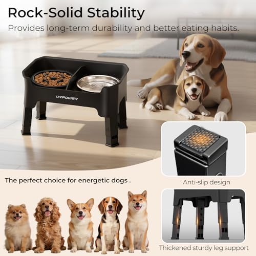 URPOWER Mess Proof Elevated Dog Bowls for Small Dogs with Slow Feeder - Image 7