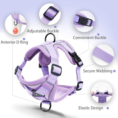Dog Harness Medium Sized Dog Pet Vest with Leash Set Lilac XL - Image 4
