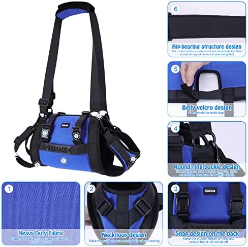 Dog Carry Sling, Emergency Backpack Pet Legs Support & Rehabilitation Dog Lift Harness for Large Dogs, Dog Carrier for Senior Dogs Joint Injuries, Arthritis, Up and Down Stairs (Blue, XXL) - Image 5