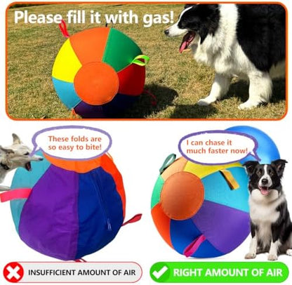 Herding Ball for Dogs, 22.1" XL Outdoor Exercise Toy for Medium Large dogs - Image 5