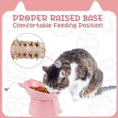 3 Pcs Raised Cat Bowl 15° Elevated Cat Food Bowl Tilted Cats Bowls,3 Colors - Image 2