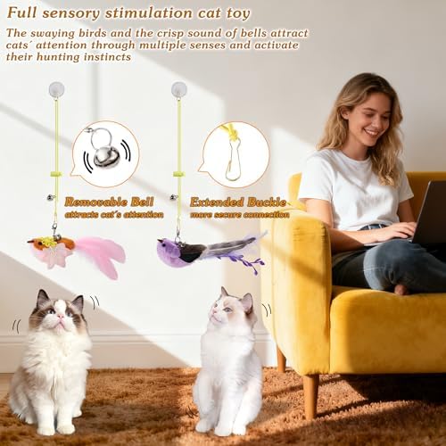3PCS Hanging Bird Cat Toy for Indoor Cats - Image 5