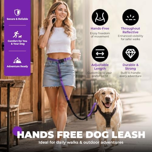 PETCARE 4 in 1 Hands Free Dog Leash with Car Seatbelt Buckle, Shock Absorbing Bungee Dog Waist Leash Belt for Running Walking Hiking, Dual Handles & Reflective, Adjustable for Small Medium Large Dogs - Image 2