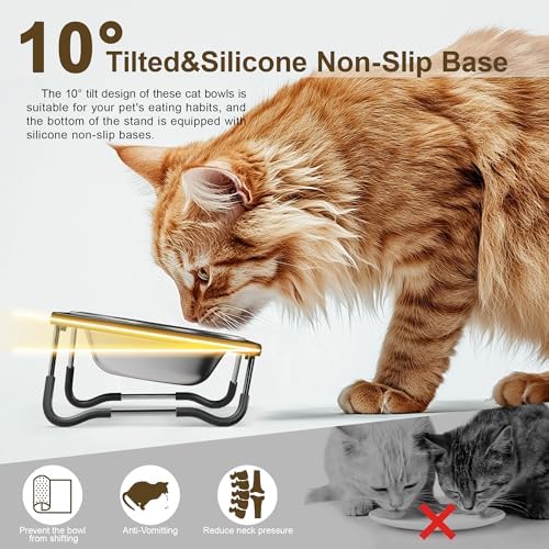 Elevated Cat Bowls with Foldable Stand and Feeder - Image 3