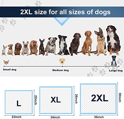 Boscute XXL Thicken 6 Layers Heavy Absorbent 30"x36" Pet Training Dog Pee Pads, Extra Large Polymer Leak-Proof Quick Dry Puppy Pee Pads, Disposable Pee Pads for Dogs Cats Rabbit - Image 6