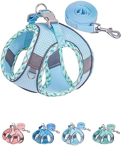 Petank Step in Dog Harness No Pull and Leash for Small Medium Dogs Cats. by Petank