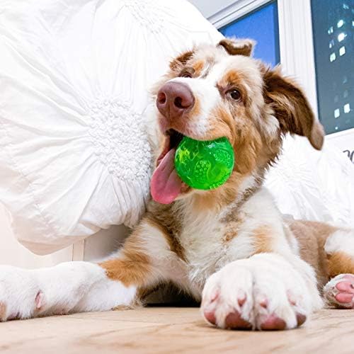 Hyper Pet DuraSqueak Dog Ball Toy, Interactive Dog Toys that Float and Squeaks for Playing, Fetching and Retrieving-Great Alternative to Traditional Tennis Balls Green 2.5 Inch - Image 2
