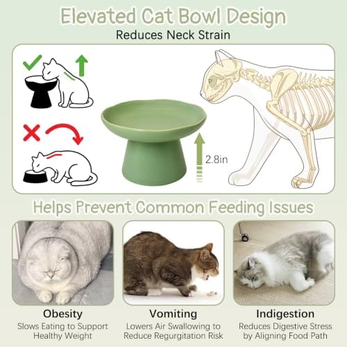 VCEPJH Raised Cat Food Bowls Shallow Cat Plate Ceramic Elevated Cats Dish 6.1in Flat Anti Whisker Fatigue Wide Pet Food & Water Feeder for Indoor Kitty Kitten (Green) - Image 3