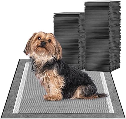 MIZOK Pee Pads for Dogs Charcoal Disposable No Leak for Puppy 23x24in 100Ct by MIZOK