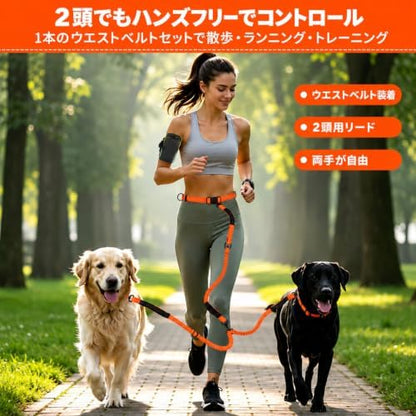 Hands Free Double Dog Leash, 4 Reflective Padded Handles, Adjustable Waist Belt 27-51", Shock-Absorbing Bungee, 360° Swivel Clips, for Small, Medium & Large Dogs, Walking Jogging Running - Image 3