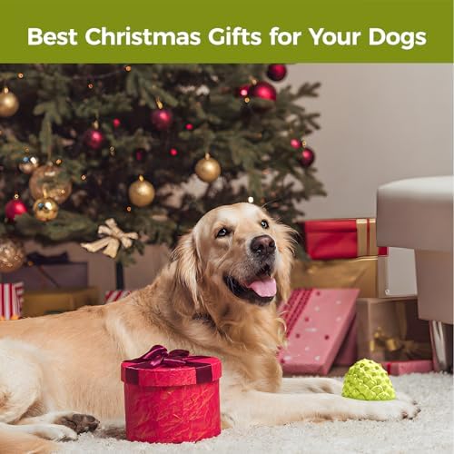 MewaJump Dog Chew Toys, Rubber Dog Toys Squeaky Toys for Aggressive Chewers - Image 7