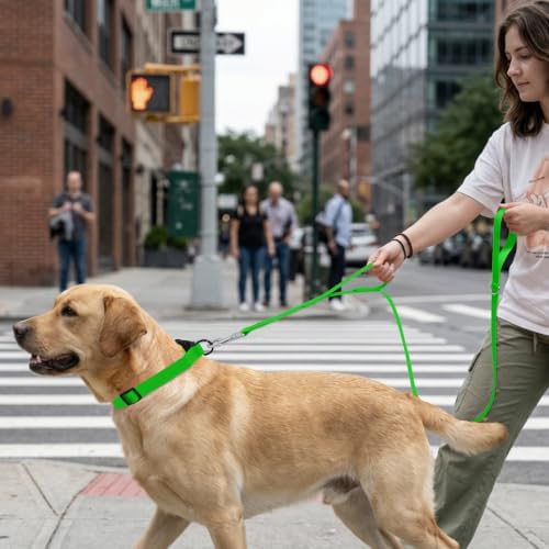 Waterproof Dog Leash with Double Handle, 6 FT Durable Odor-Proof Dog Leashes with Strong Aviation Aluminum Hooks Fits Small Medium or Large Dogs - Image 6