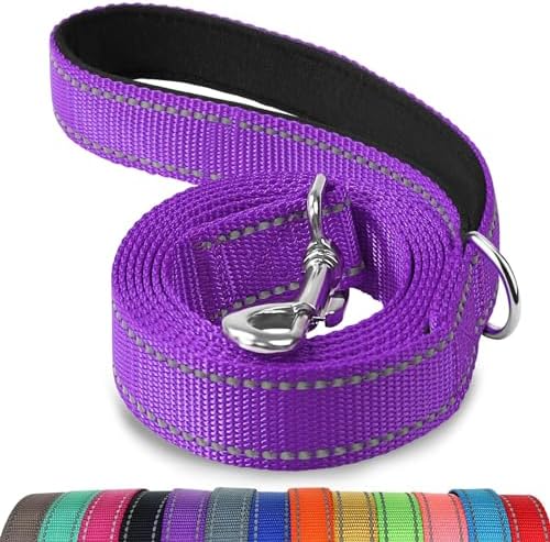 Joytale Reflective Dog Leash for Medium & Large Dogs, 4 FT x 1", Purple by Joytale