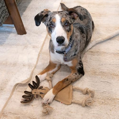 SPOT Dura-Fused Leather Forest Animals - Dog Toy with Squeaker and Rope Limbs, Real Leather and Jute Chew Toy, Durable No-Stuffing Toy For Light to Moderate Chewers - 14in, Assorted Styles, 1 Piece - Image 5