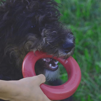 Mutty Dog Chew Ring - Made in USA Dog Toys for Chewers - One Meal Donated to Shelters per Toy - Durable Rubber Puppy and Adult Dog Toy - Non-Toxic 100% Food Grade Materials