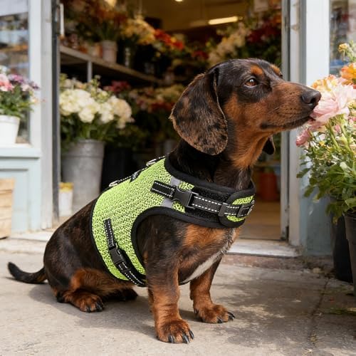 Mini Dachshund Harness – No Armpit Rub, Escape Proof, Reflective, No Pull Vest-Style Dachshunds Harness,Breathable Mesh Dog Harness (Fluorescent Green, S: Chest 32-41cm (12.5"-16")) - Image 7