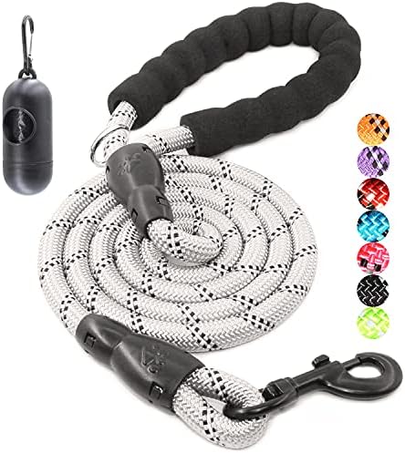 BAAPET 2/4/5/6 FT Dog Leash with Comfortable Padded Handle and Highly Reflective Threads for Small Medium and Large Dogs (6FT-1/2'', Silver) by BAAPET