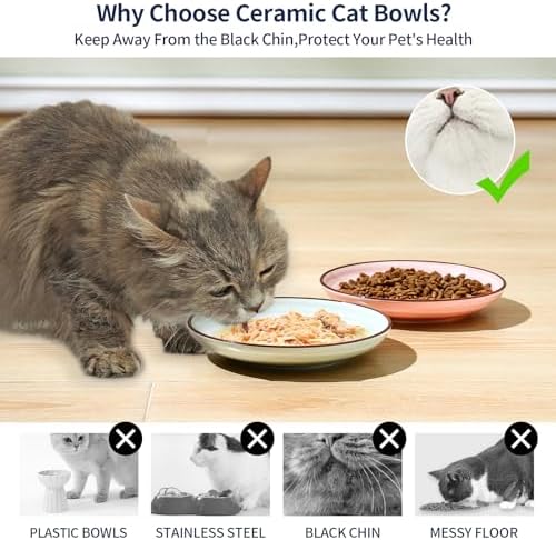 Selamica 6 Inch Ceramic Cat Bowls, Set of 6, Gradient Color - Image 4