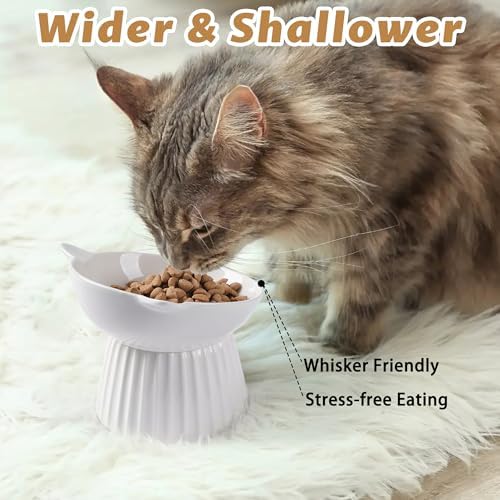 Ceramic Raised Cat Bowl，Tilted Raised Bowl Anti Vomit for Indoor Cats Whisker Friendly Pet Feeder for Cats Puppies, Microwave and Dishwasher Safe (White-2 Pack) - Image 5