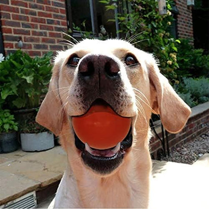Sunglow Durable Dog Ball for Chewing & Training, Tough Indestructible Dog Chew Toy, Solid Rubber Bouncy Ball, Cleans Your Dog's Teeth & Improves Mental Health - Image 4