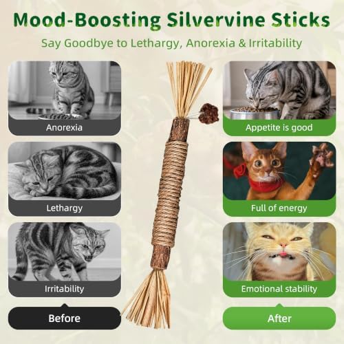 GBSYU Silvervine Sticks Cat Kitten Chew Toys for Indoor Cats Teeth Cleaning - Image 5