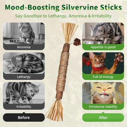 GBSYU Silvervine Sticks Cat Kitten Chew Toys for Indoor Cats Teeth Cleaning - Image 5