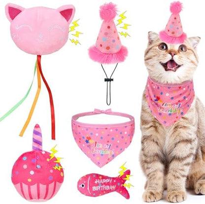 BINGPET Cat Birthday Decorations Outfit, 5 Pcs Catnip Toys for Indoor Cats by BINGPET