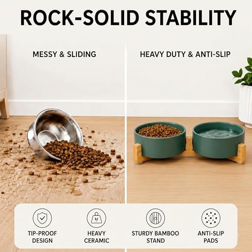 SPUNKYJUNKY Ceramic Dog and Cat Bowl with Wood Stand Non-Slip Matte Glaze Weighted Food Water Set for Cats &Small Dogs 13.5 OZ Green - Image 3