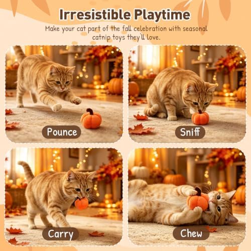 Plush Fall Catnip Toys for Indoor Cats 6 Pack, Pumpkin Shape - Image 4