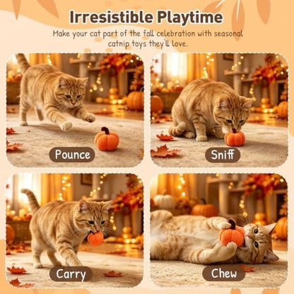 Plush Fall Catnip Toys for Indoor Cats 6 Pack, Pumpkin Shape - Image 4