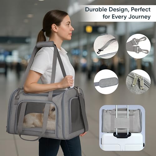 Pet Travel Carrier Bag – Airline Approved Soft-Sided Dog & Cat Carrier, Foldable, Breathable Mesh, Washable Pad – Fits Pets up to 15 lbs – The Pup Quartet (Grey) - Image 3