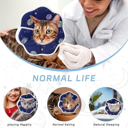 Soft Adjustable Cat Cone Collar, Comfortable Cat Recovery Collar - Image 5