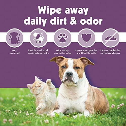 Petkin Jumbo Pet Ear Wipes, 80 Extra Moist Wipes, 2 Pack -Soothing & Deodorizing Pet Ear Cleaner to Remove Dirt, Odor, & Wax-Safe, Convenient, & Easy to Use Pet Wipes for Dogs, Cats, Puppies & Kittens - Image 7